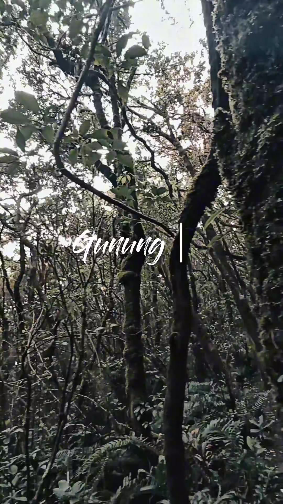@𝚂𝙰𝚅𝙰𝙶𝙴