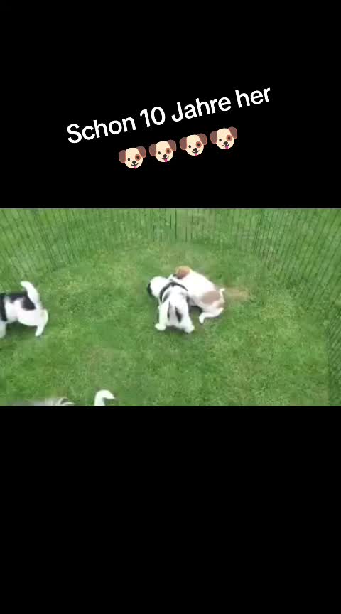 @❤️Lucy und Pepe❤️