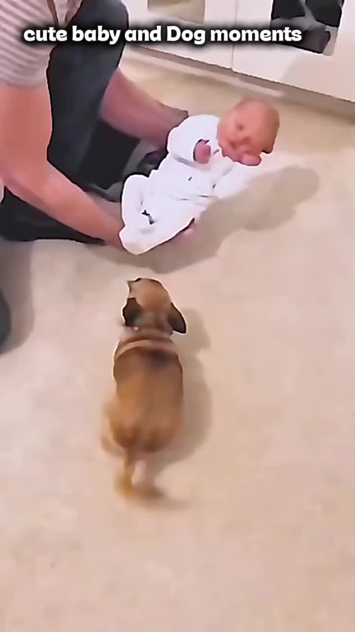 @dogmomentsdaily