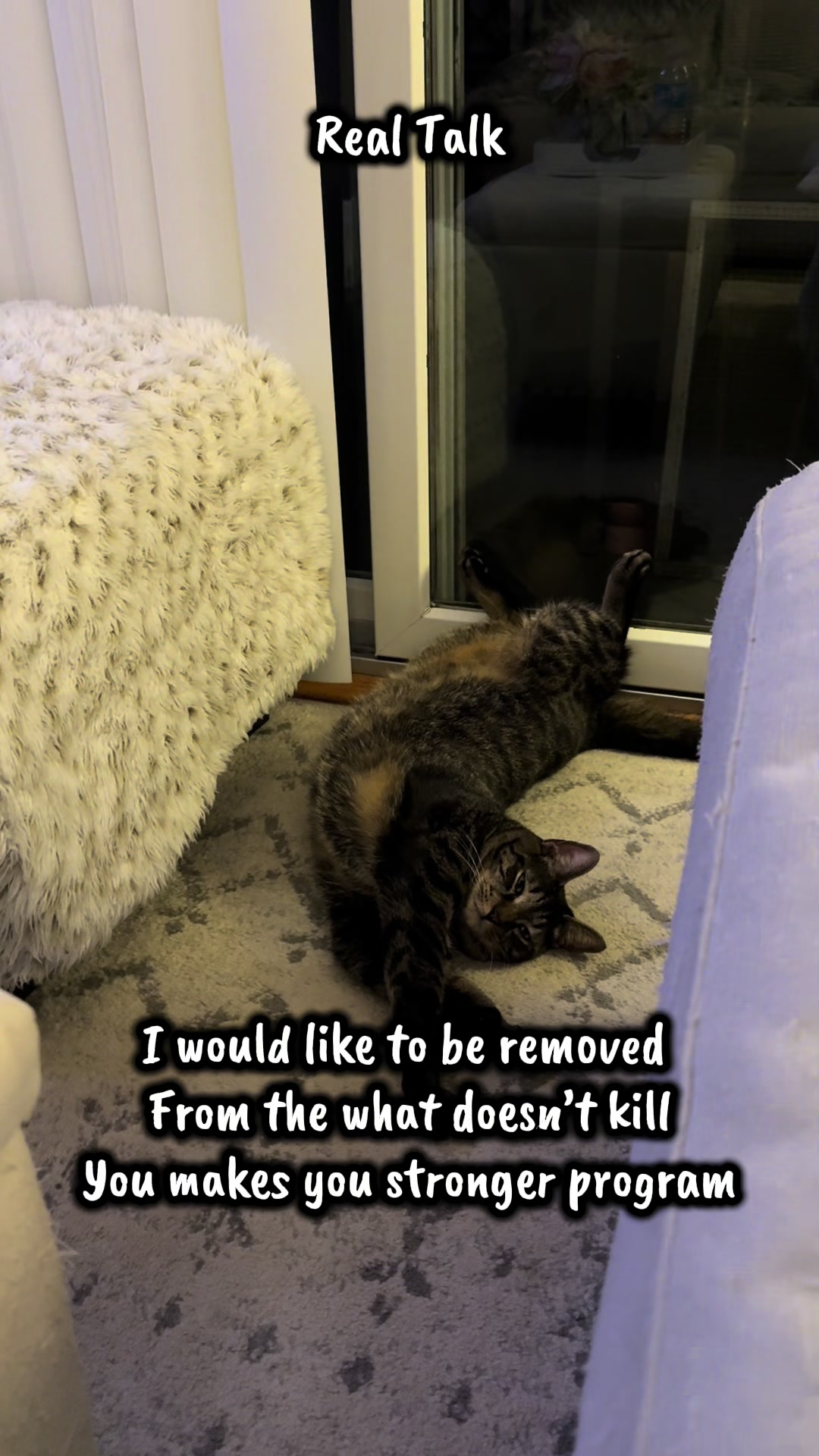 @TailsandWhiskersCo