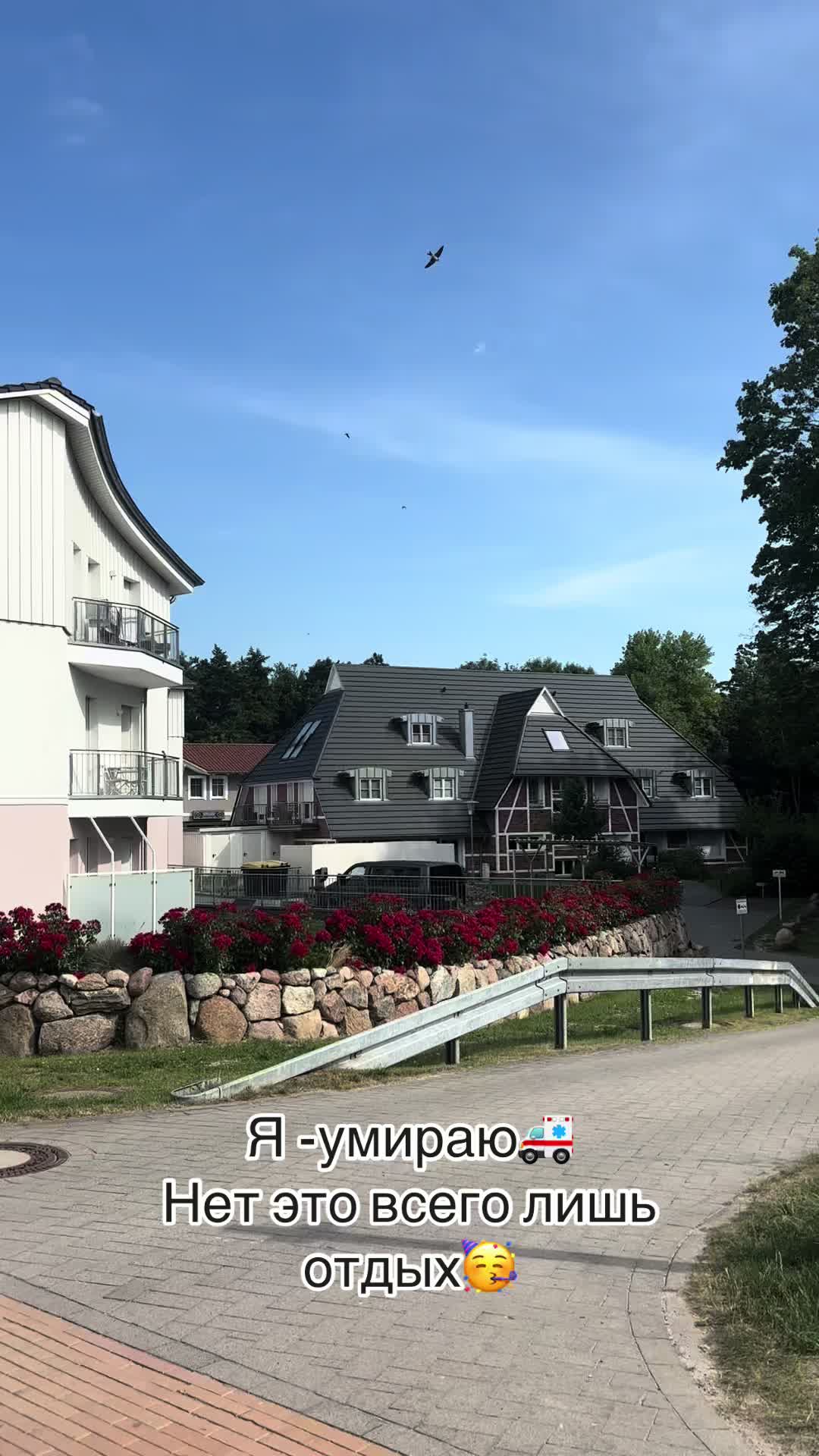 @Ljudmila