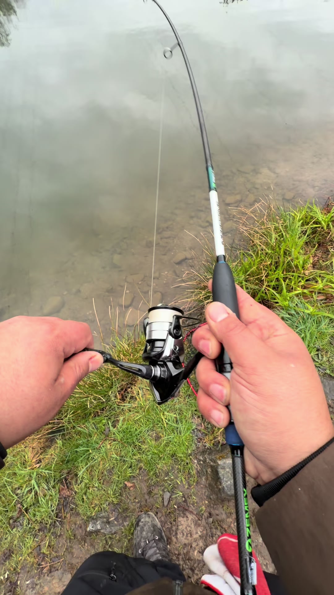 @Fishing_DP