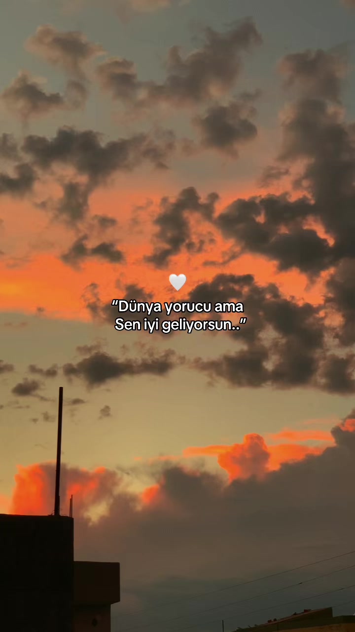 @𝑩ü𝒏𝒚𝒂𝒎𝒊𝒏⚡️