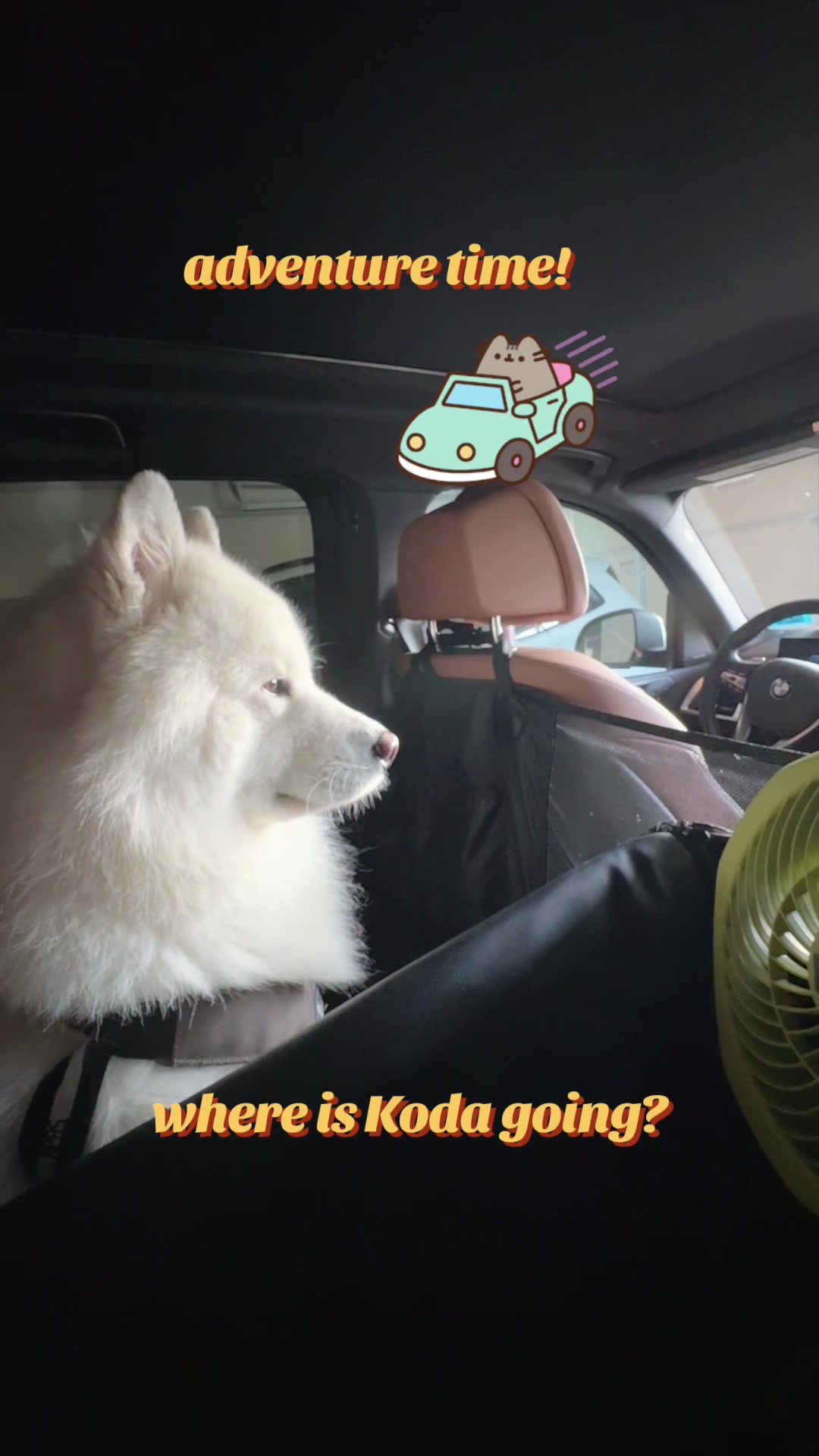 @Koda