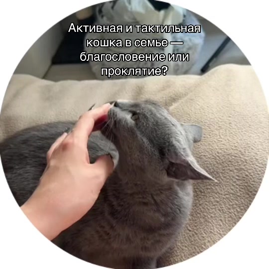 @sserpantinaa
