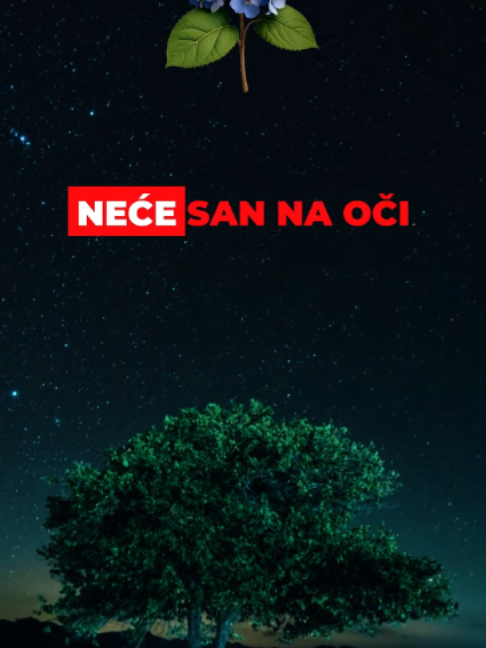 @Hadžibeg