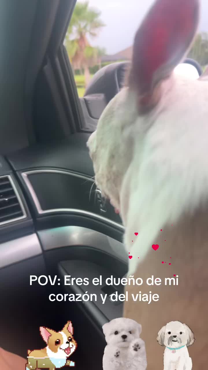 @los3huevertos