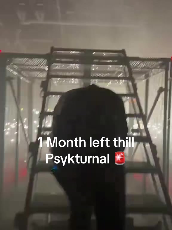 @🐍