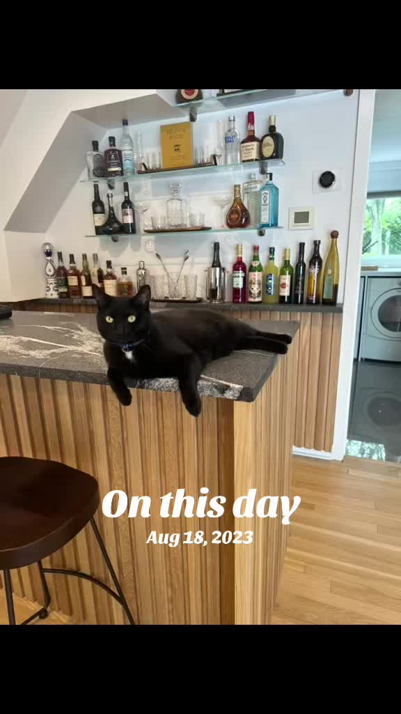@Oscar Jeremy the cat!