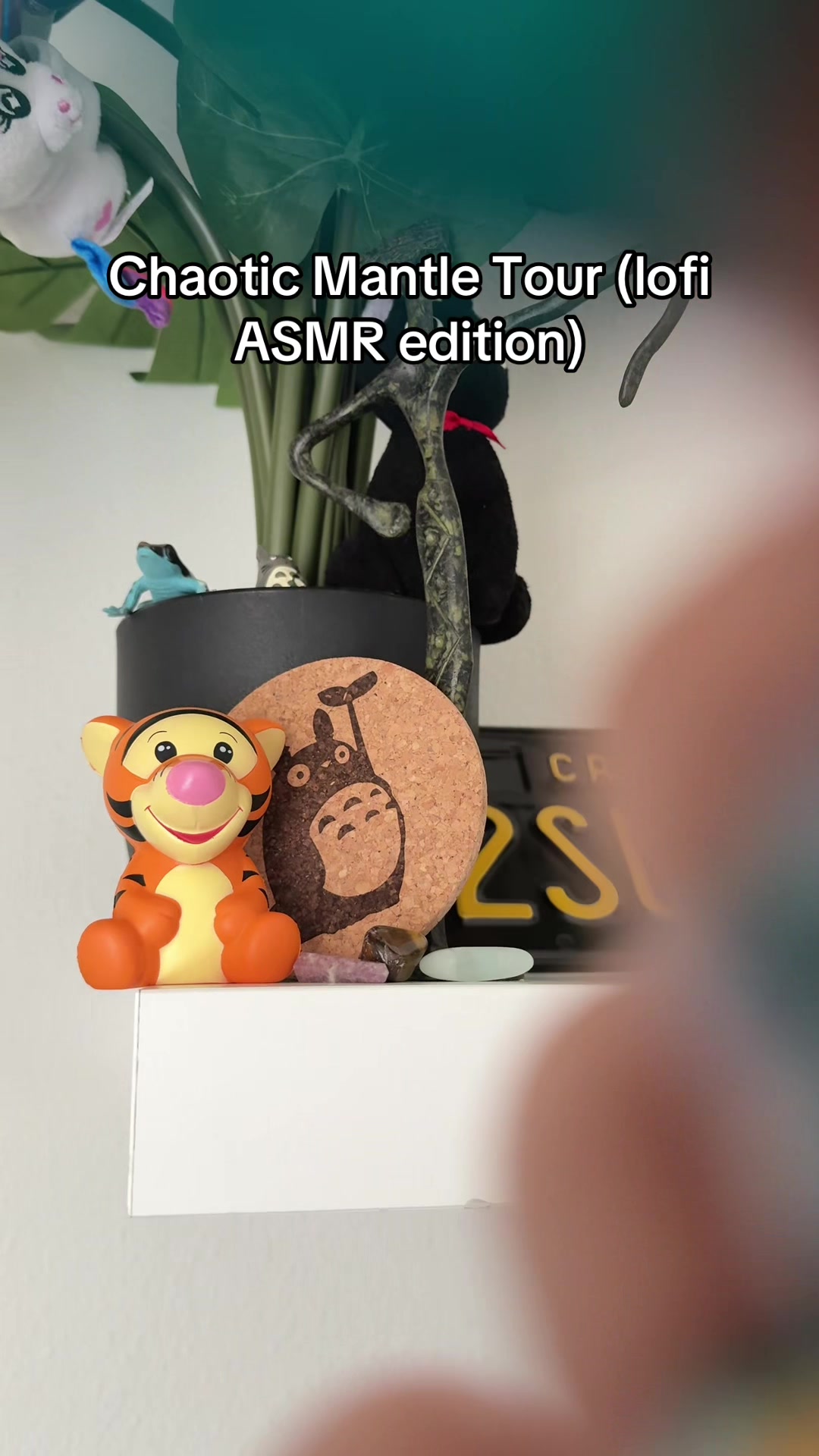 @Sonia Elsie ASMR