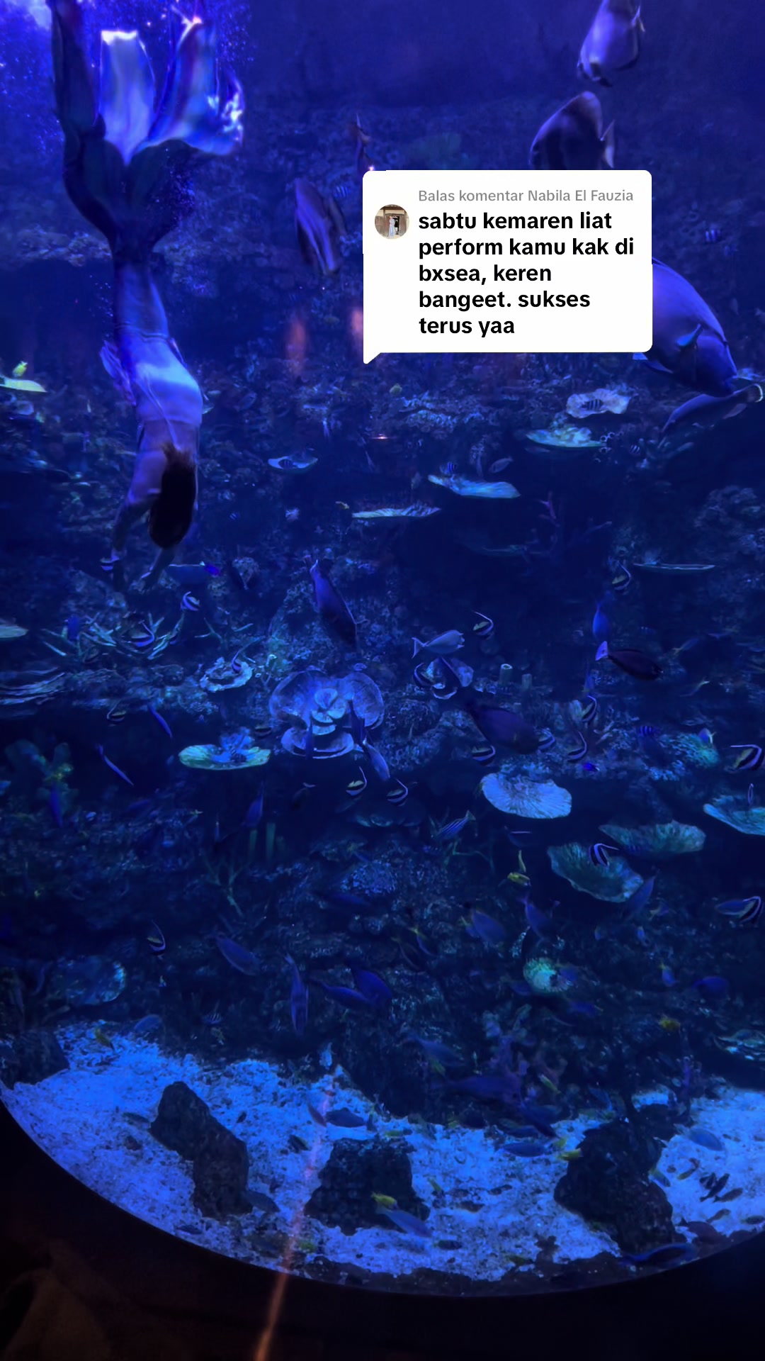 @Mermaid Cryztal