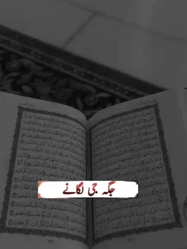 @Noor e sehar