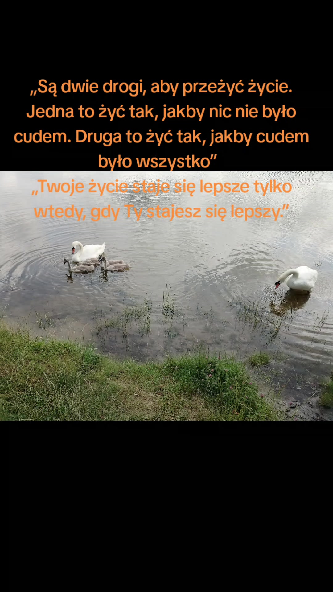 @LuksLuki