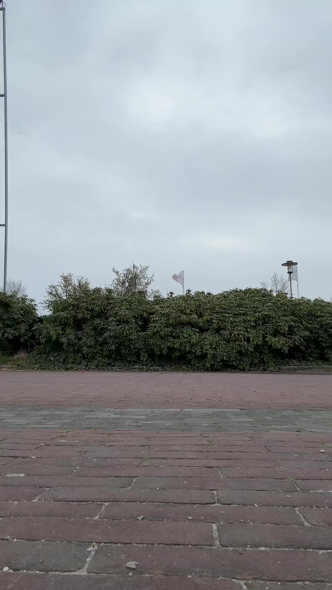 @iris.kleinx