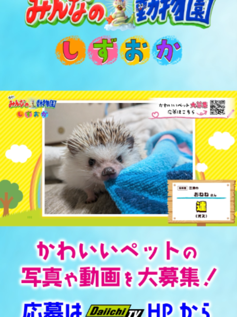 @Daiichi-TV
