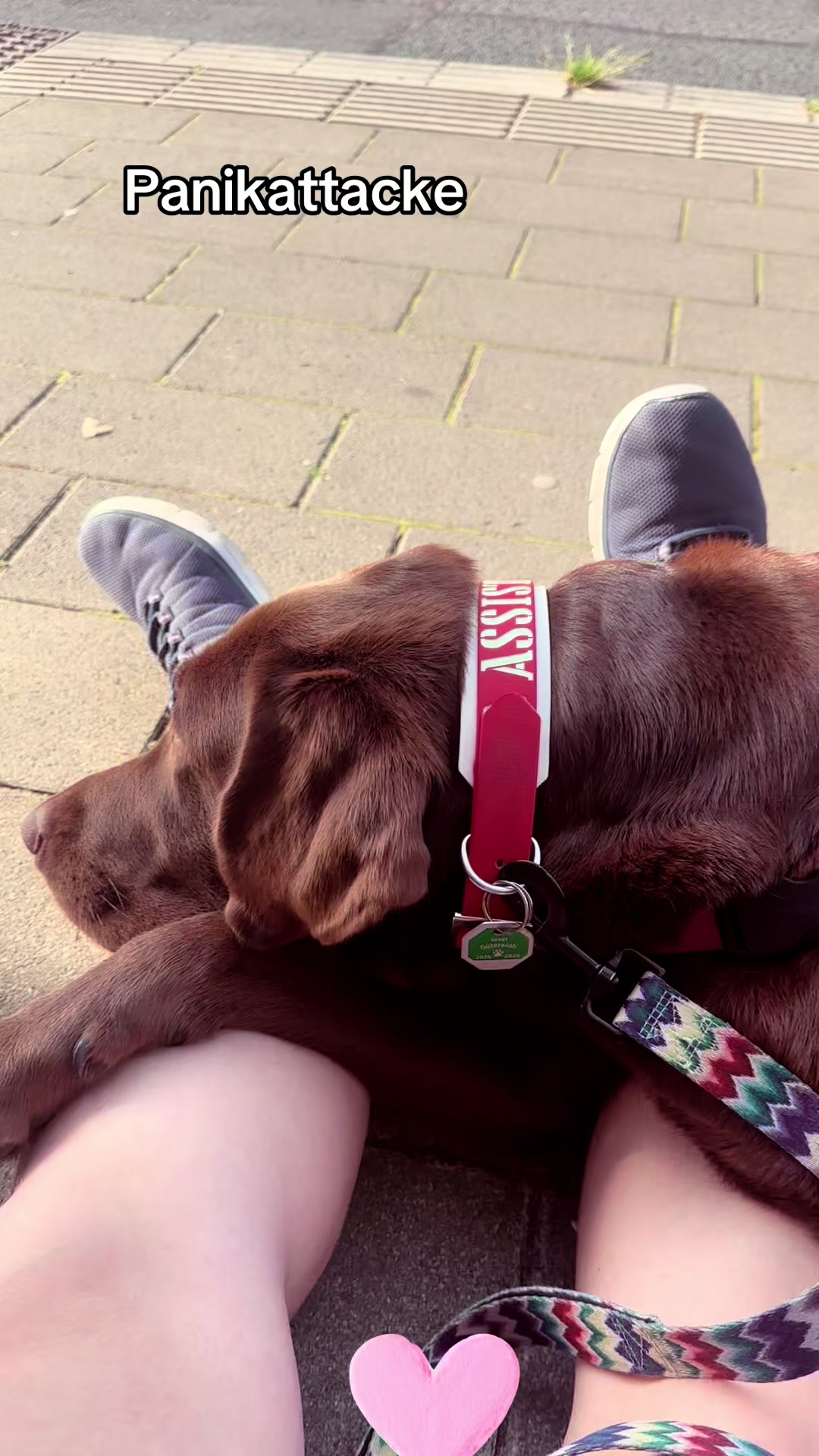 @teamlidialissy