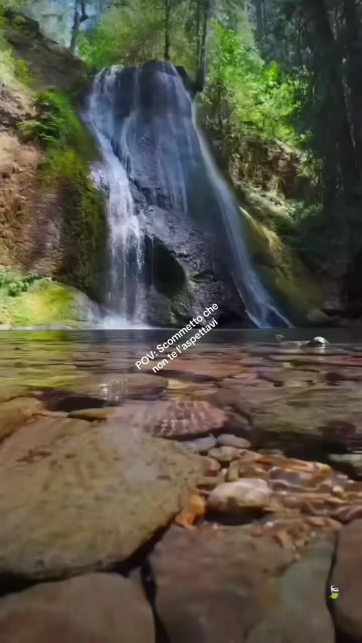 @rondinialguinzaglio🤍