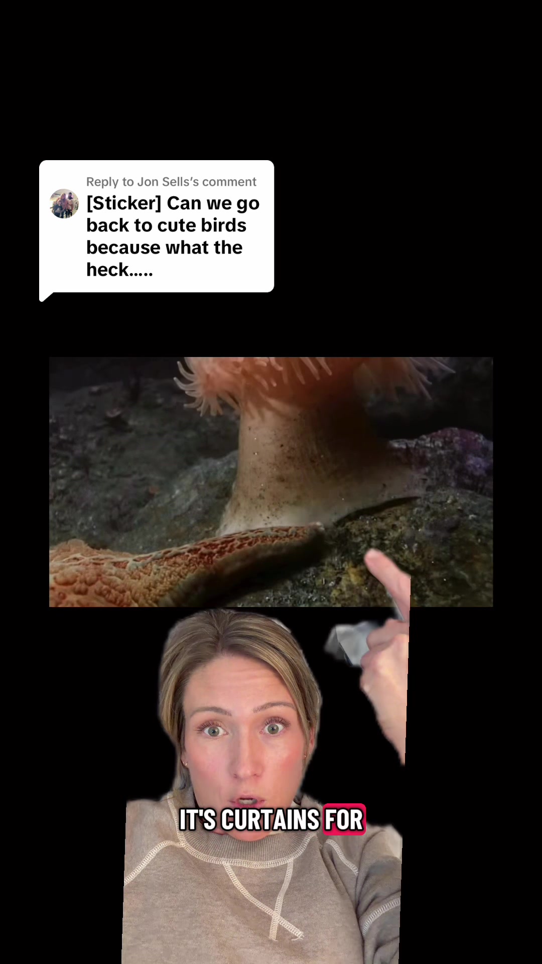 @SarahMakesMeLaugh