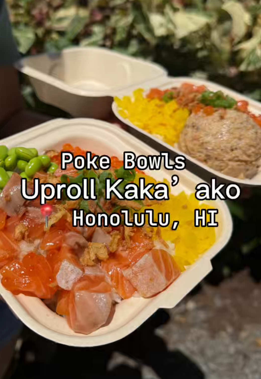 @Oahufood adventure