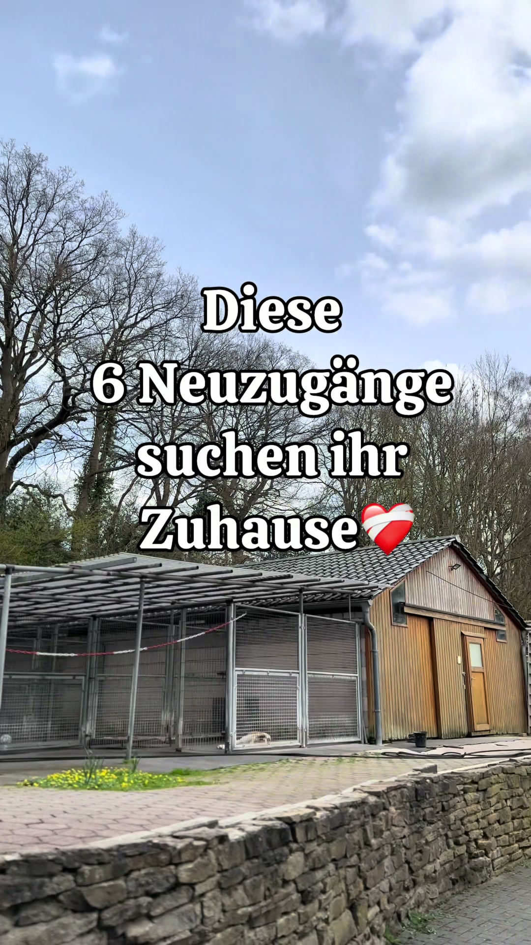 @Tierheim Witten e.V.
