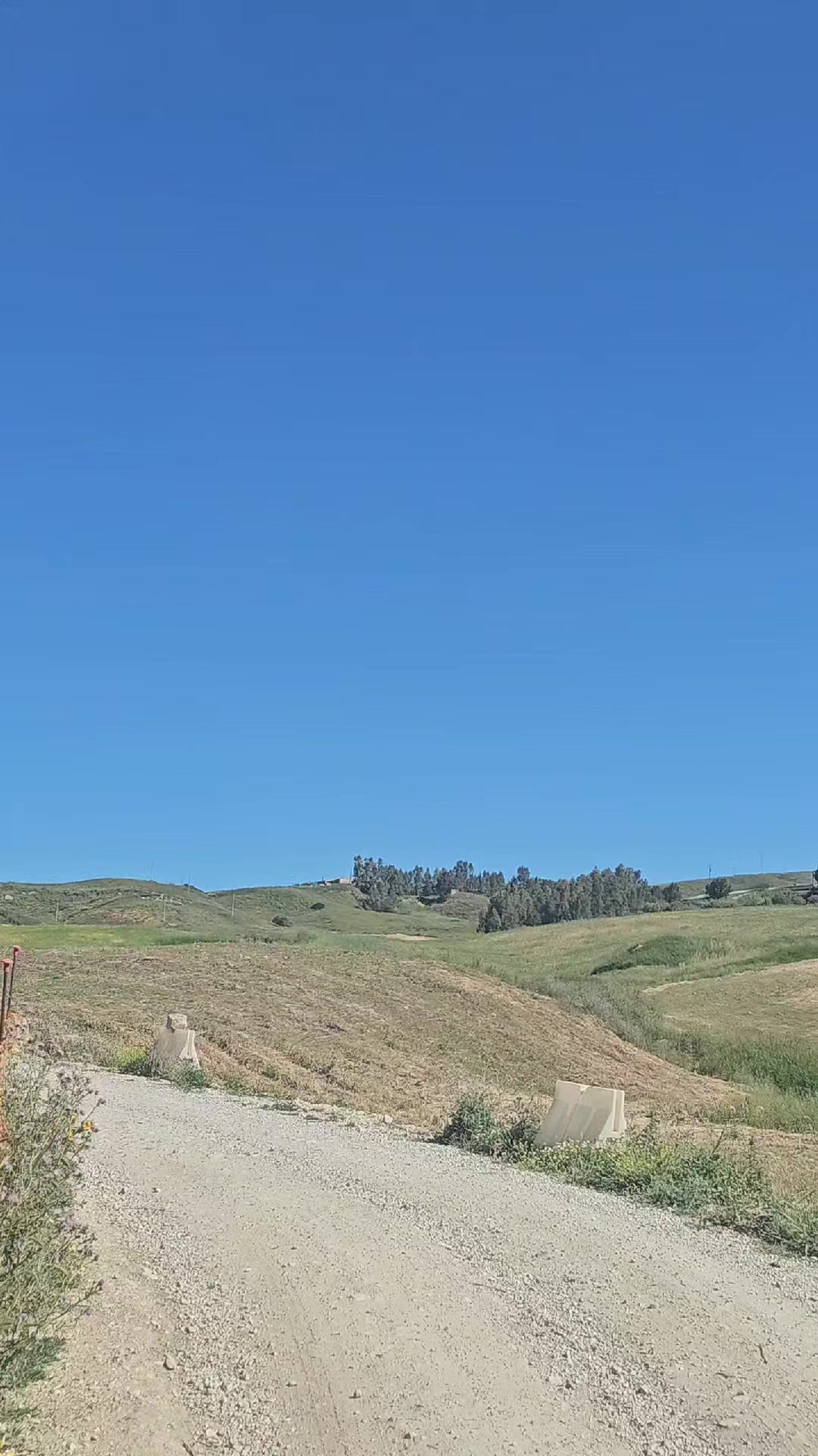 @Angelo Il Leone