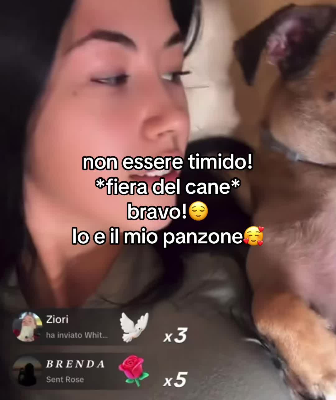 @annaseiluce_