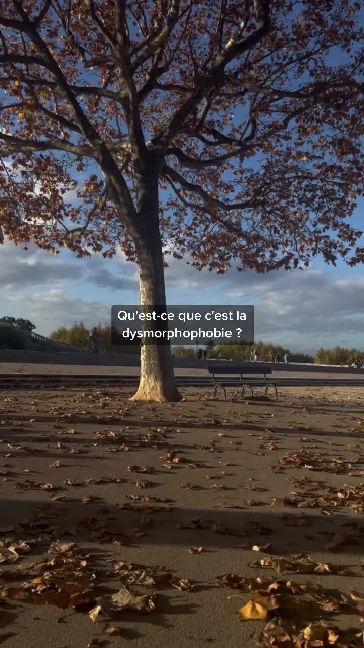 @Inconnu aux bataillons