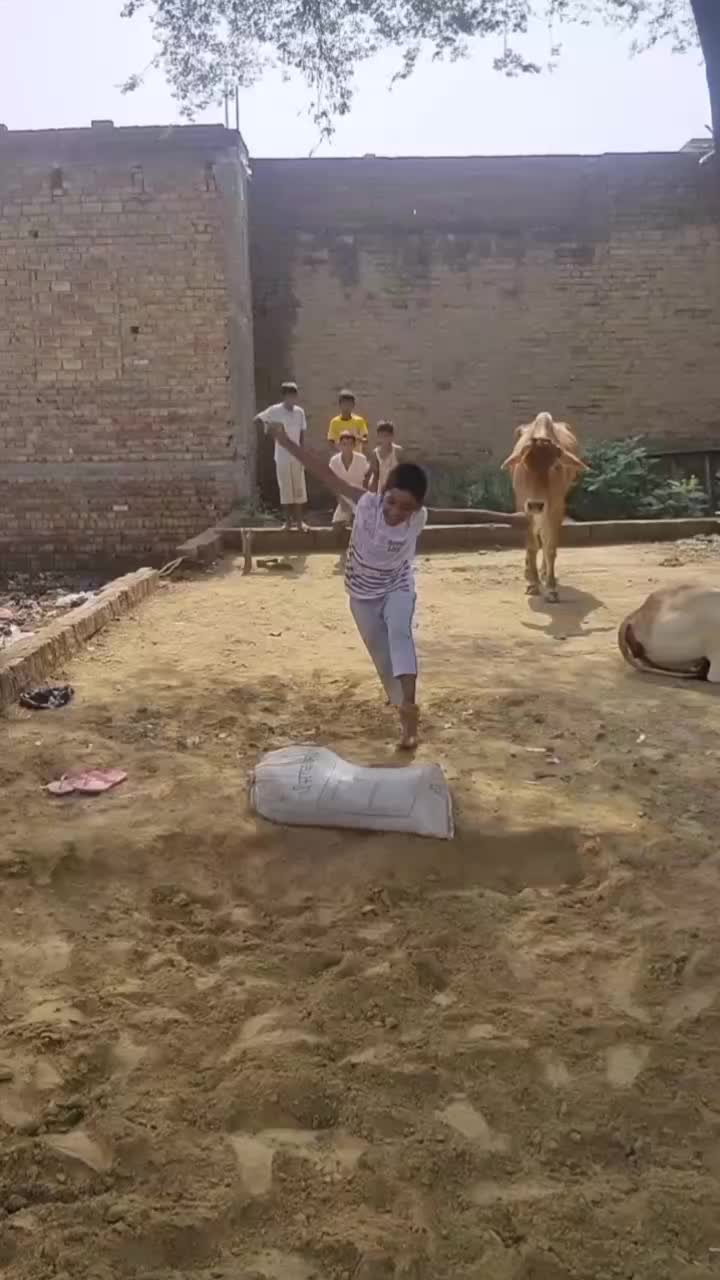 @Zehreela30001
