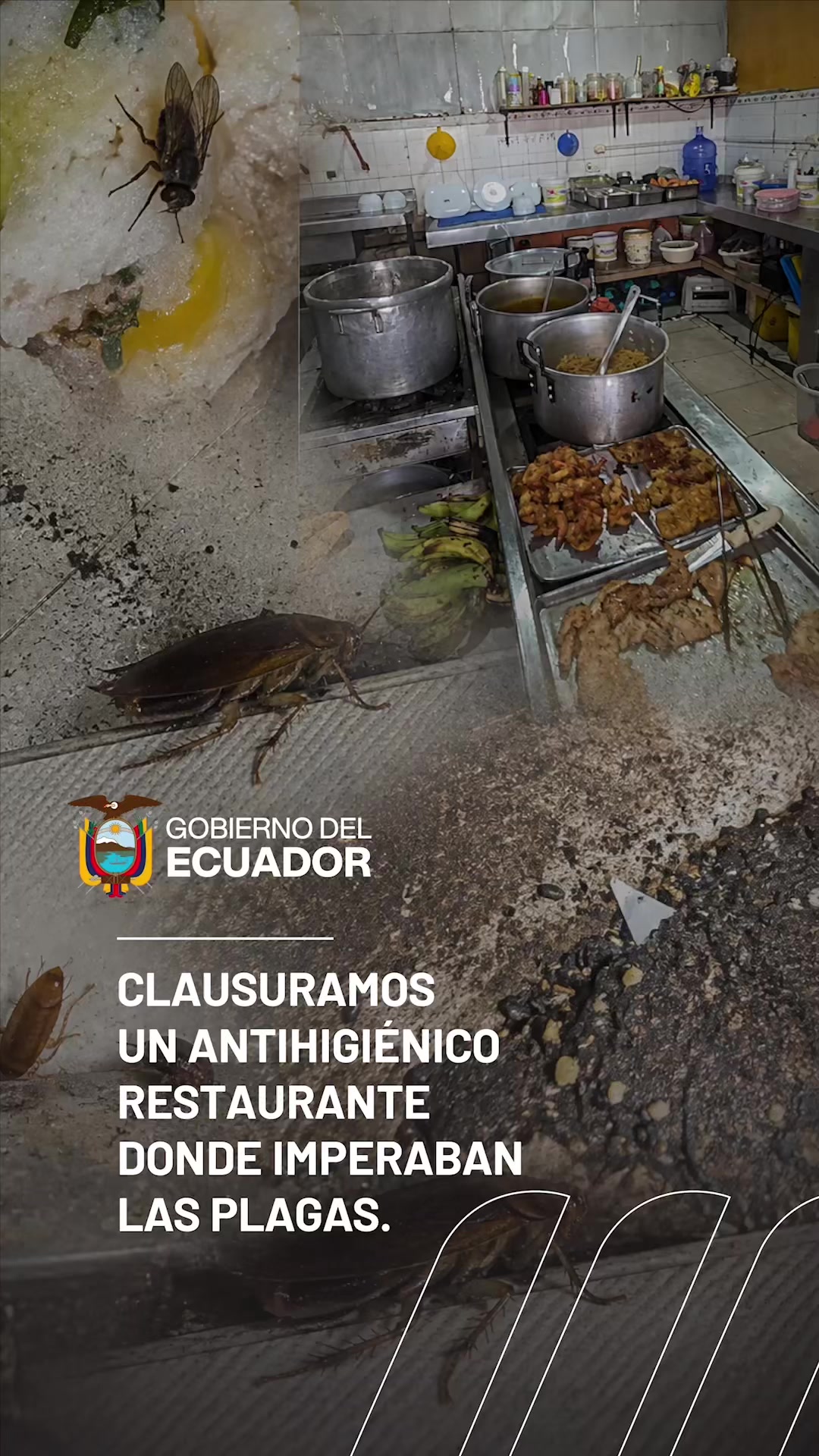 @Arcsa Ecuador