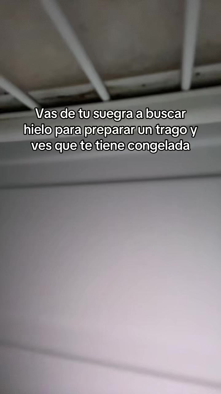 @Brisa Fabani