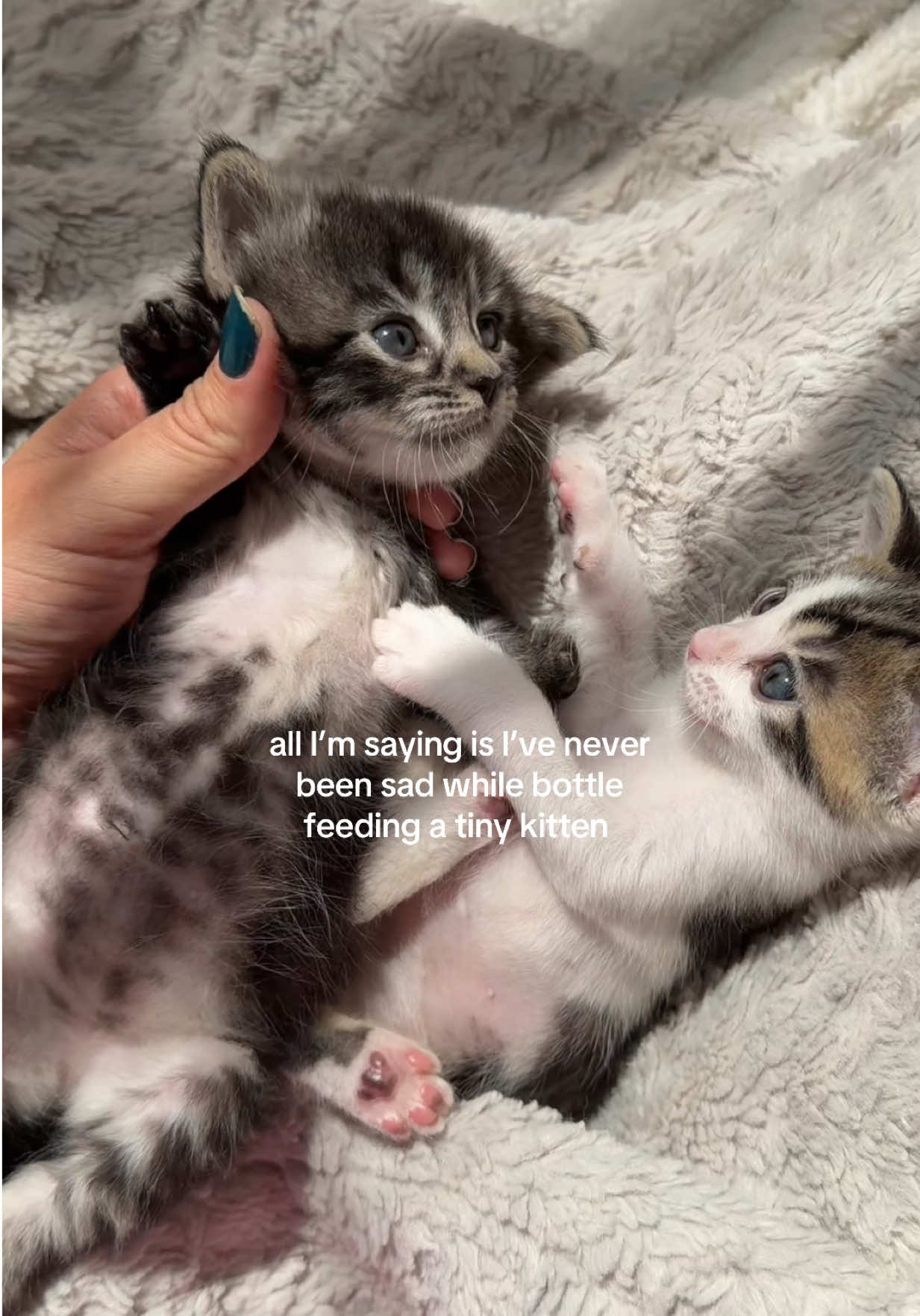@April Lynch