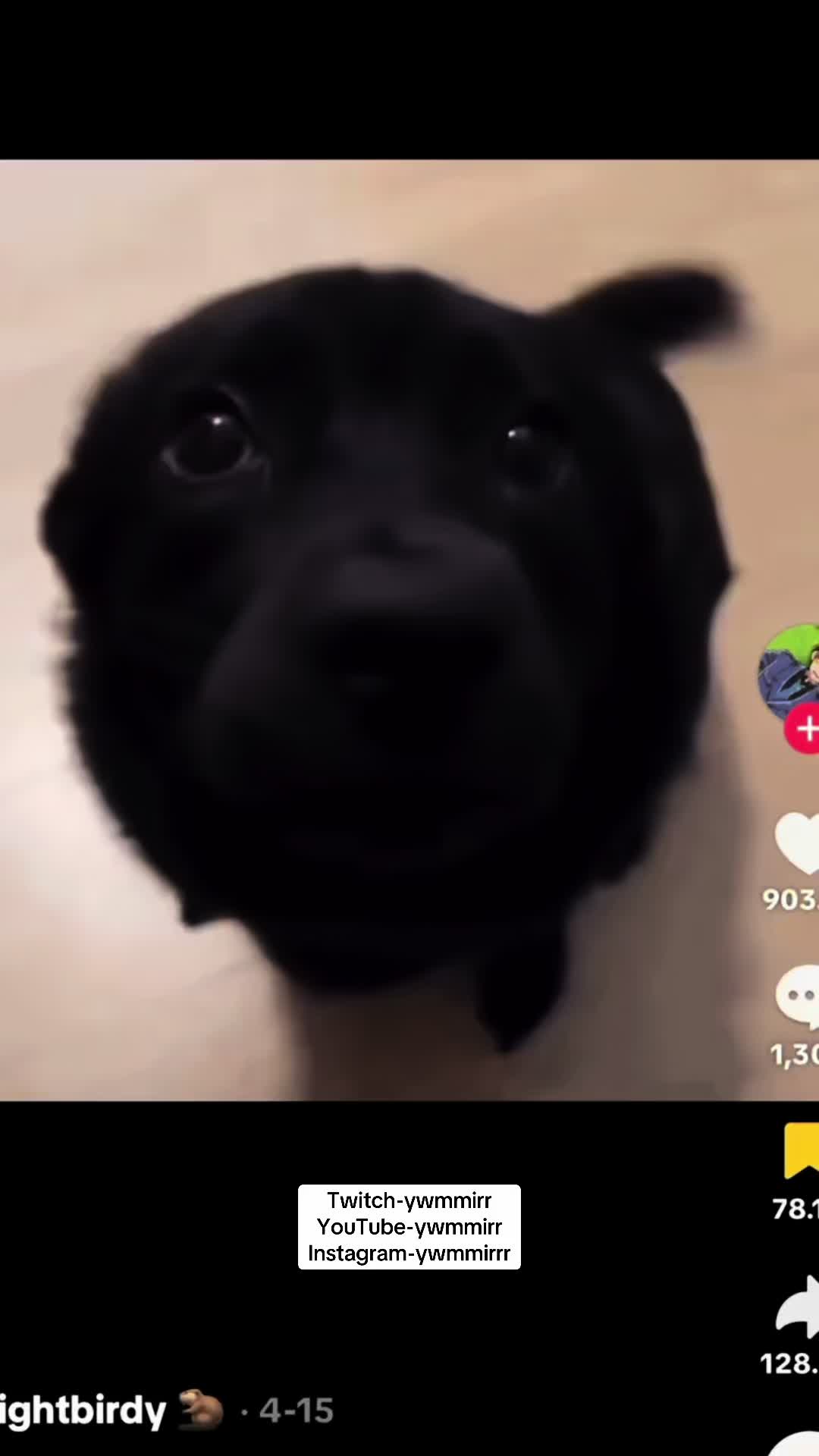 @ywmmirr