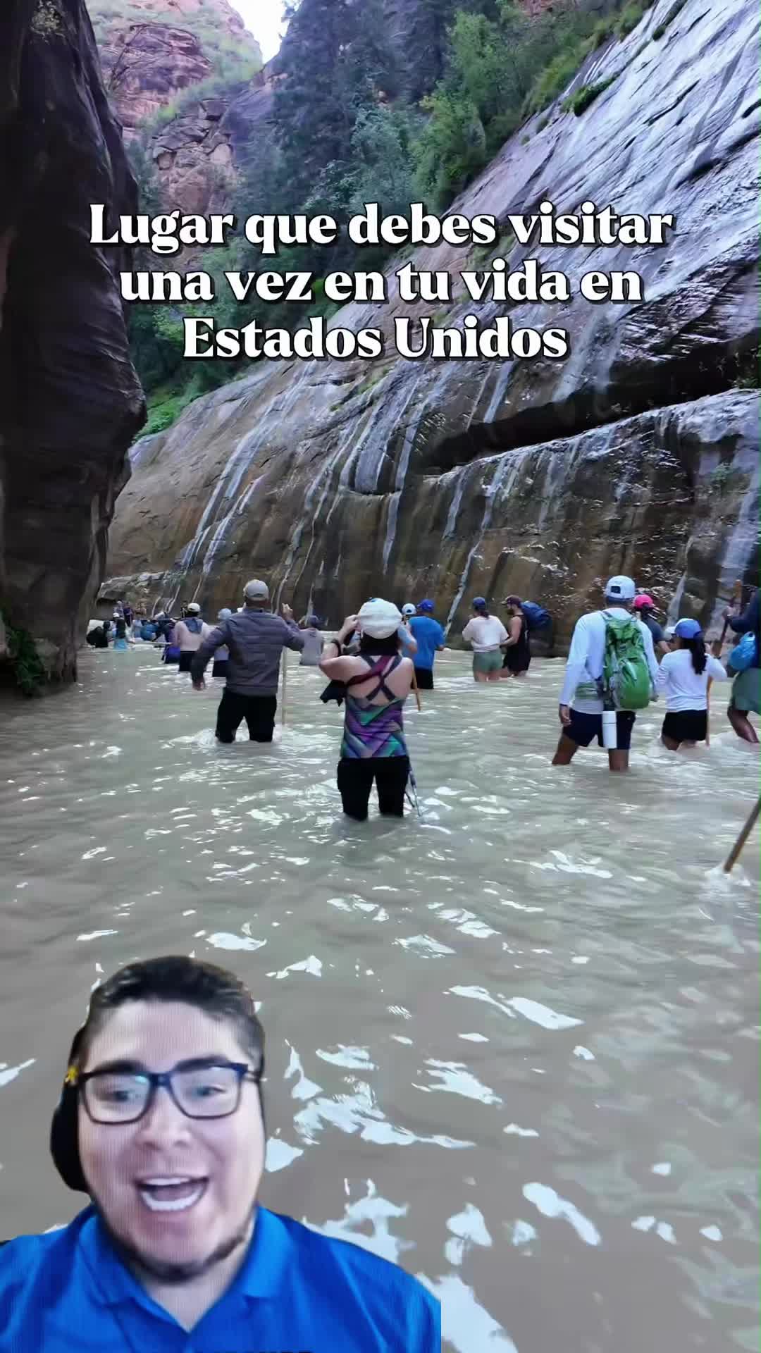 @zestzuwki