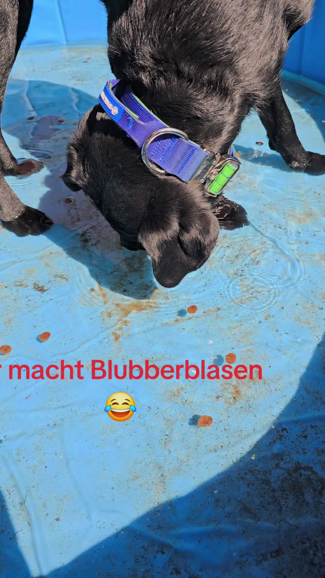 @AntonderBollerkopp