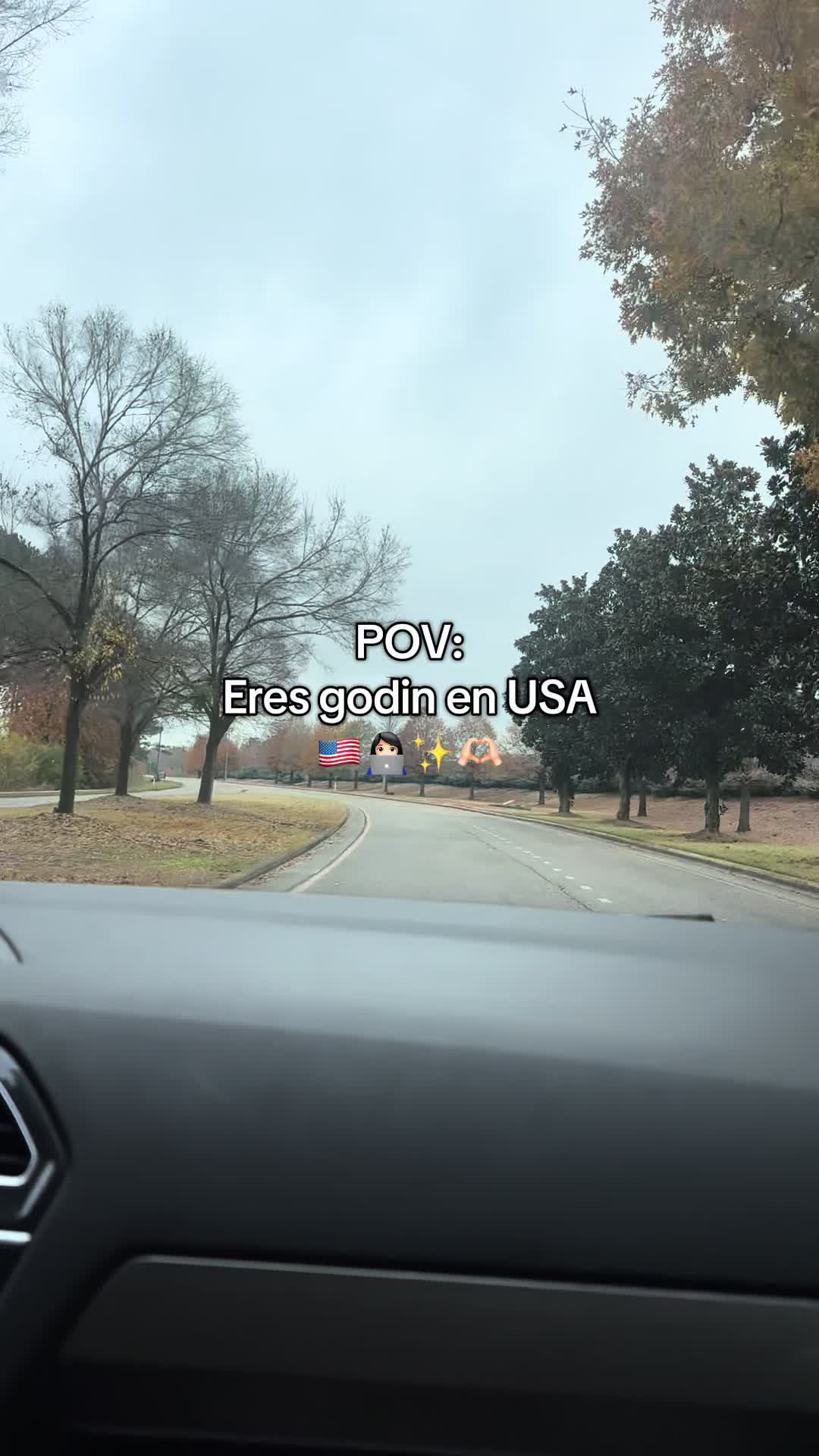 @elisainalabama