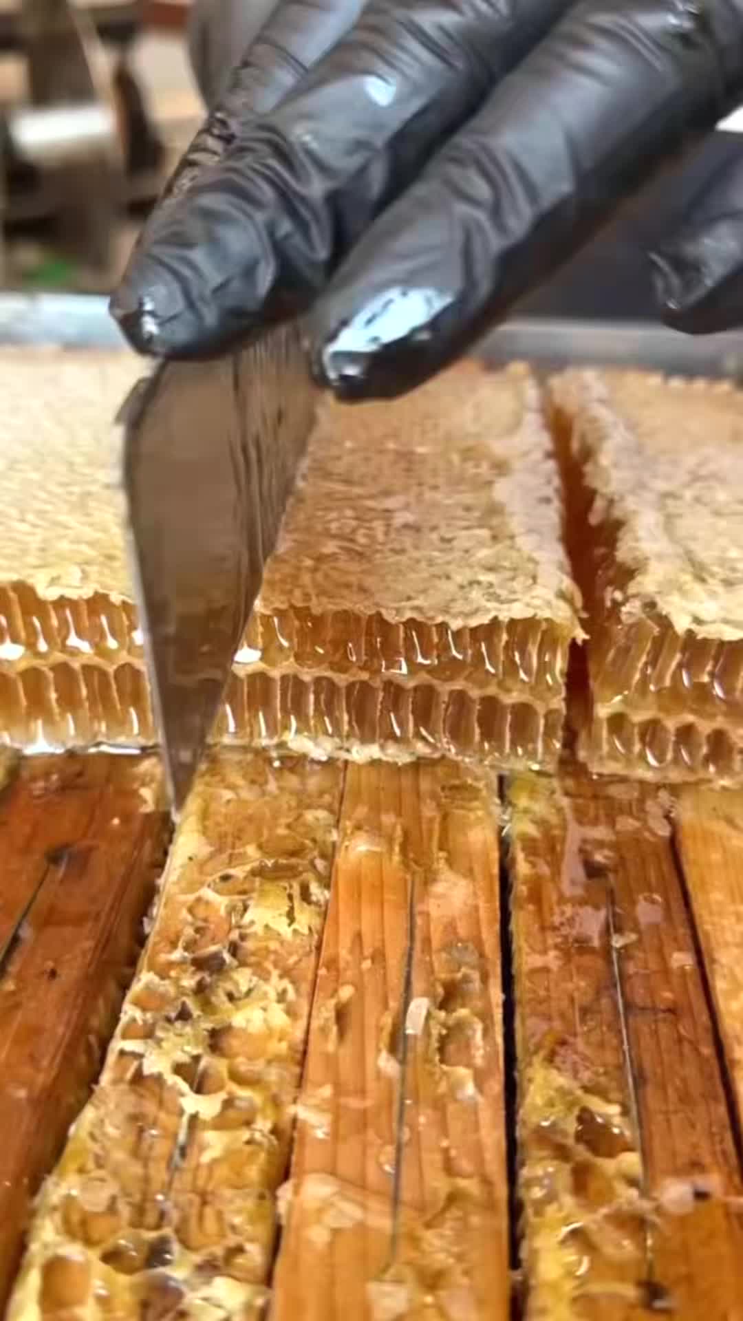 @pjtqbc