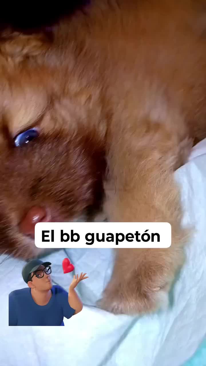 @candi Caramelo 🍬 todo con ❤️