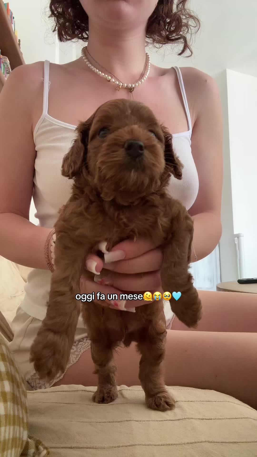 @ohmygoshfabiana