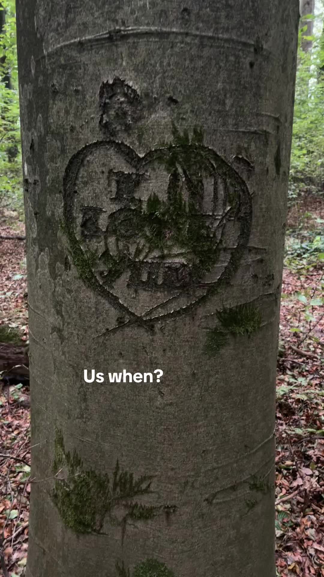 @lur.3d