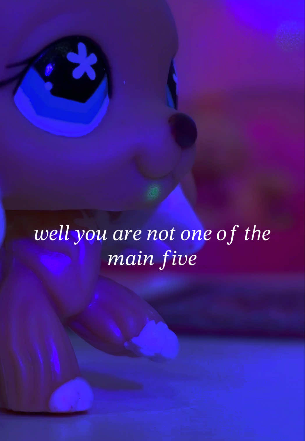@Husky