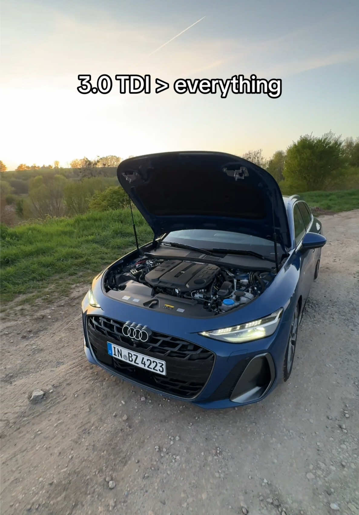 @maltedrivescars
