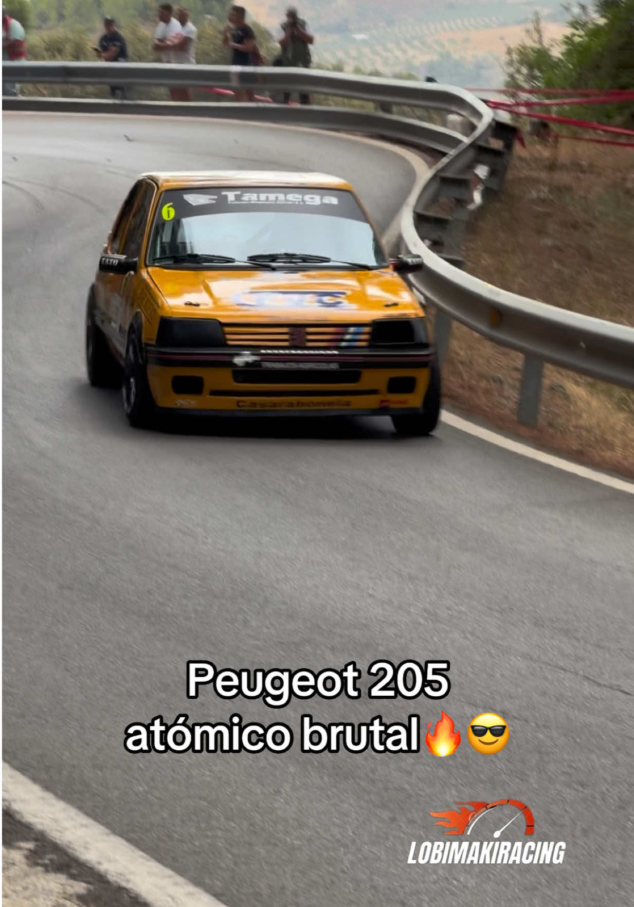 @LobiMakiRacing