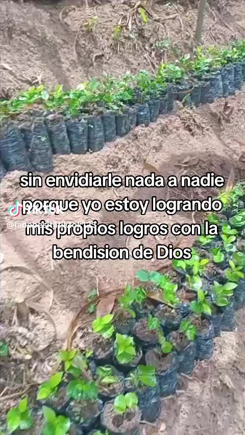 @Marisol🦋🌞
