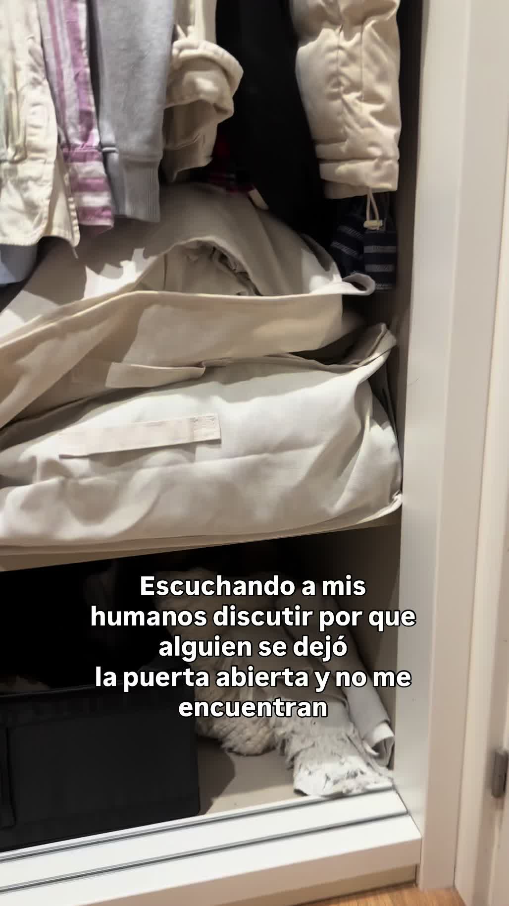 @Olga Catena