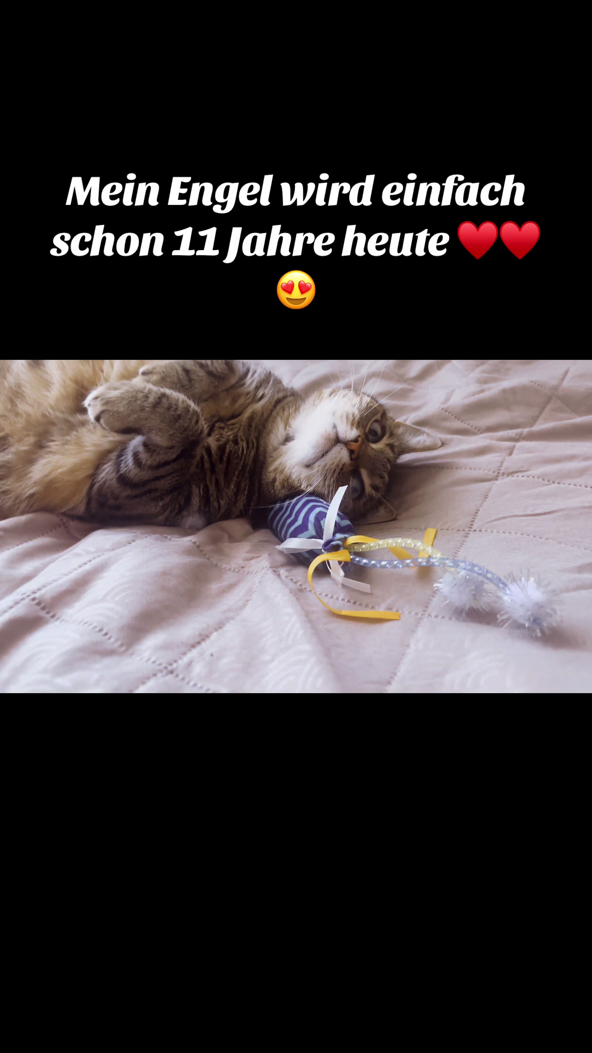 @jeannyherbalwitch🦉