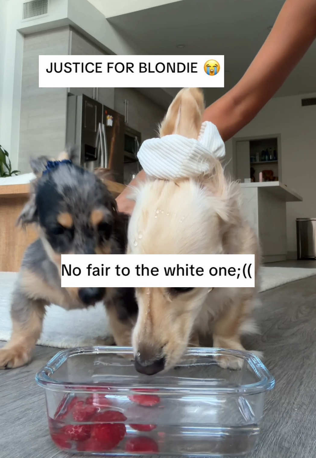 @Lila & Lily The Doxxies