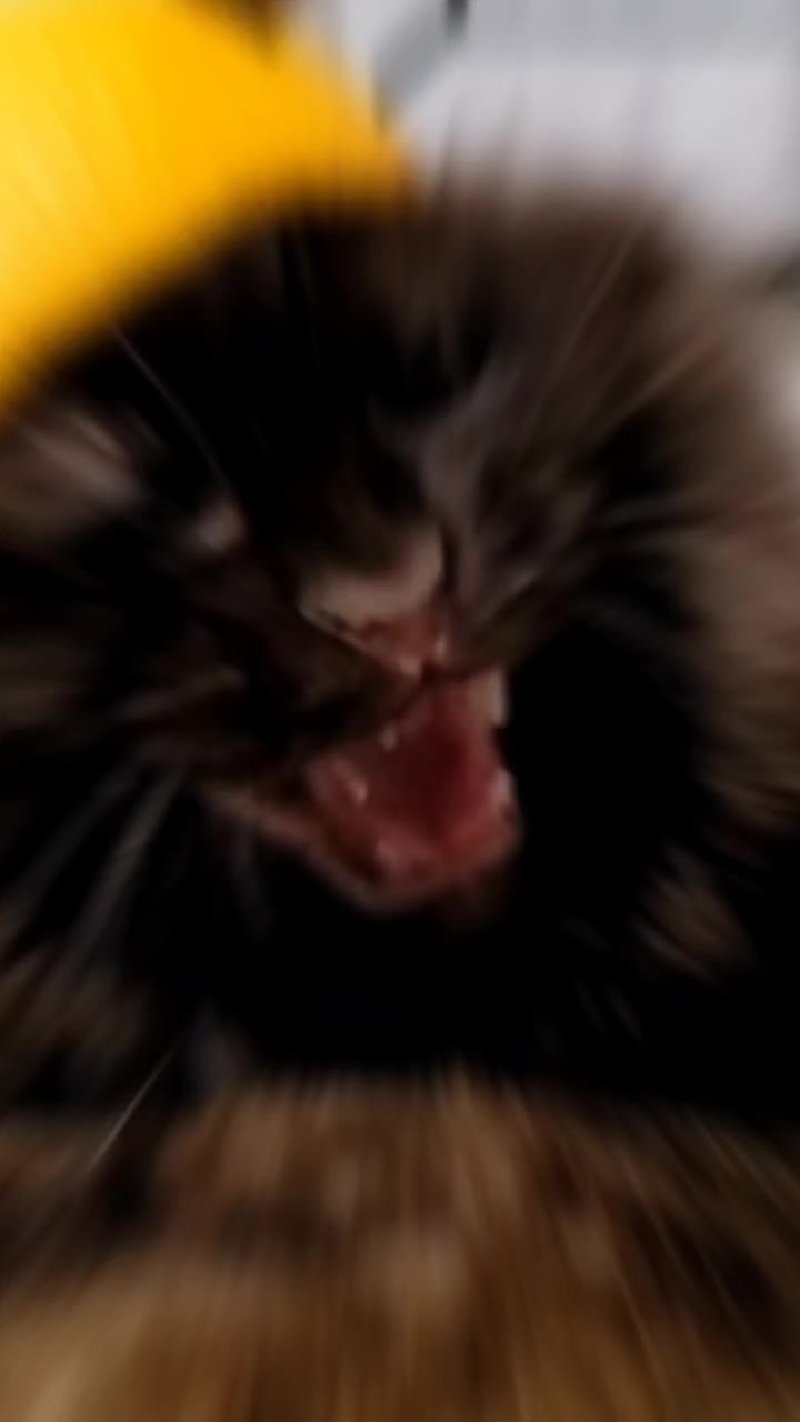 @yoggy18