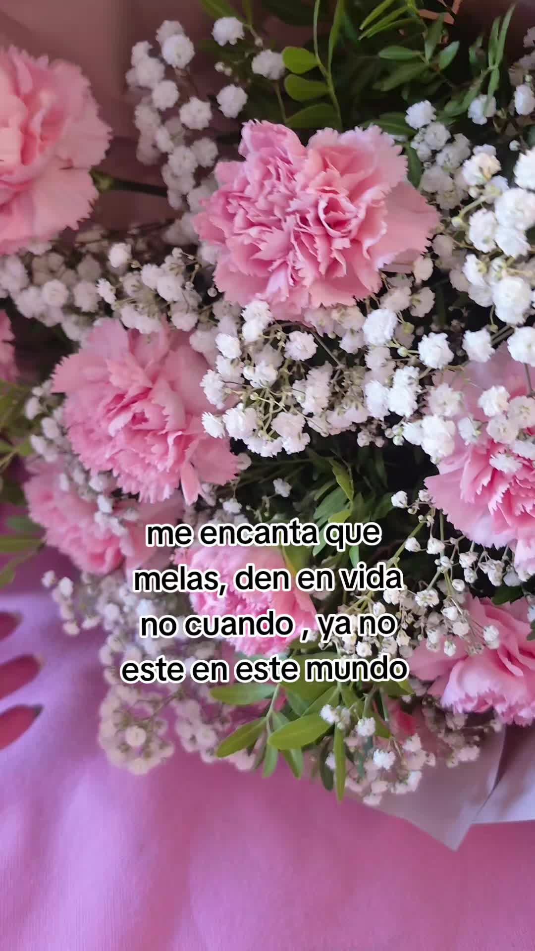 @martha carcamo 🌻 🌵 ❤