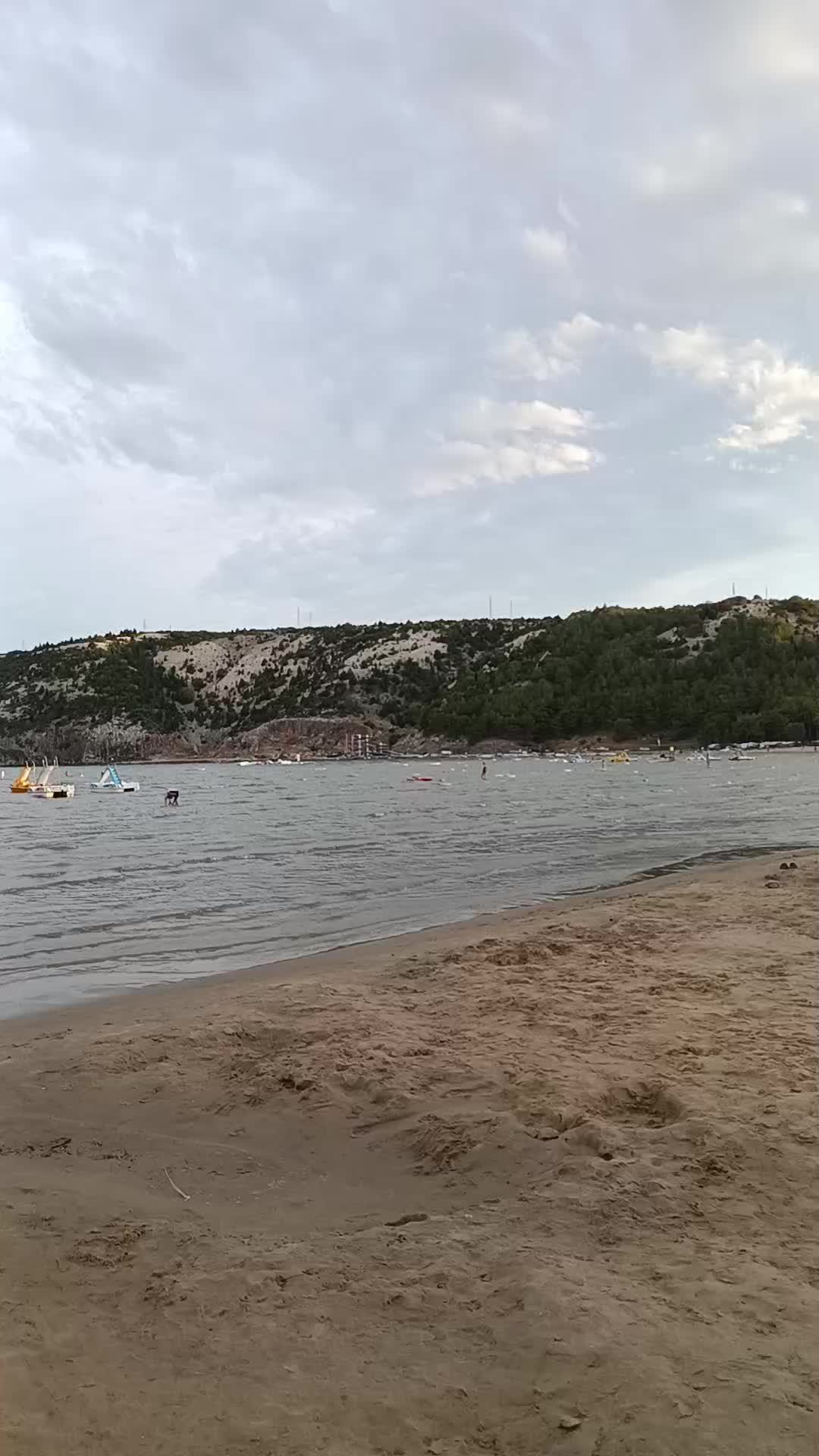 @Marina Grus