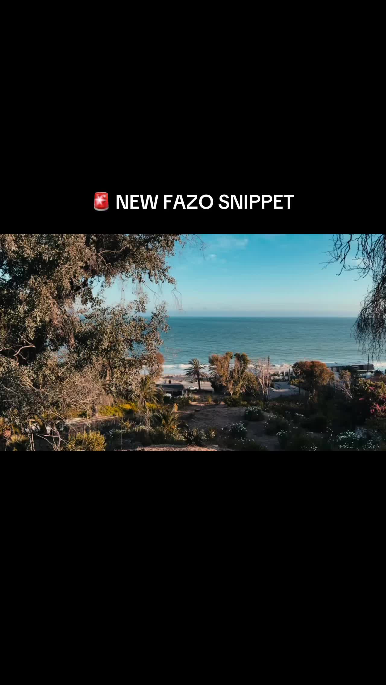 @fazoeffect